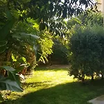 Welcome In Villa