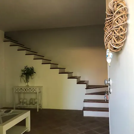 فيلة Welcome In شاكا